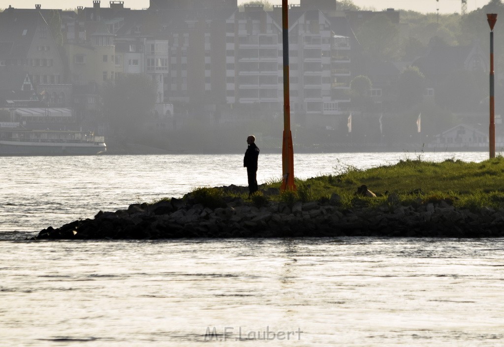 PRhein Koeln Porz Ensen Schwimmer untergegangen P156.JPG - Miklos Laubert